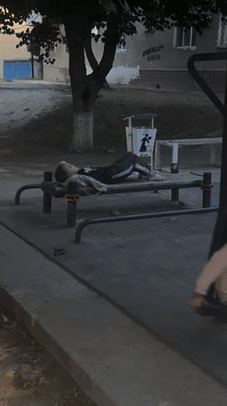 Casual moments in Tashkent: outdoor exercise and pet care