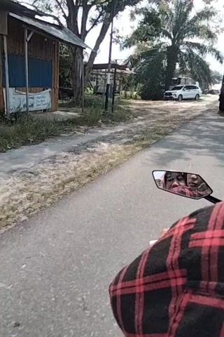 The video begins with a close-up of a person's arm wearing a red and black plaid shirt, holding the handlebar of a motorcycle. The camera is mounted on the motorcycle, providing a first-person perspective. The scene unfolds on a paved road with a rough, textured shoulder. To the left of the road, there is a thin palm tree, and further back, a white car is parked. Beyond the car, there are some dilapidated structures and more vegetation. As the motorcycle moves, the view shifts to show a large green shipping container on the back of a truck driving in the same direction. A white car is visible behind the truck, and further down the road, more vehicles and small buildings can be seen. The environment appears to be a rural or semi-urban area with a mixture of natural elements like palm trees and man-made structures. The sky is overcast.