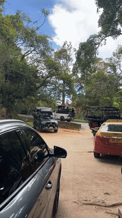 Ko Samui jungle tour: rubber trees, waterfalls, and stone statues