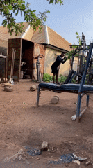 Men conduct morning outdoor workout session in Akwanga, Nigeria