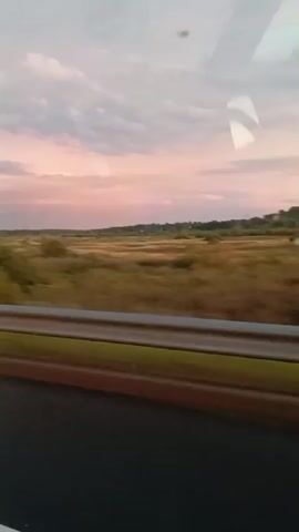 The video is a shaky, first-person perspective shot from inside a moving vehicle, likely a car or bus, looking out a window. The scene is dominated by a landscape under a cloudy sky, with soft pink and purple hues suggesting either sunrise or sunset. A blur of green trees and fields stretches across the middle ground, indicating motion. A guardrail, colored orange and gray, runs horizontally across the lower portion of the frame. The bottom of the frame shows a dark surface, likely the road, with a white line. The overall impression is of a scenic drive through a rural area during twilight.