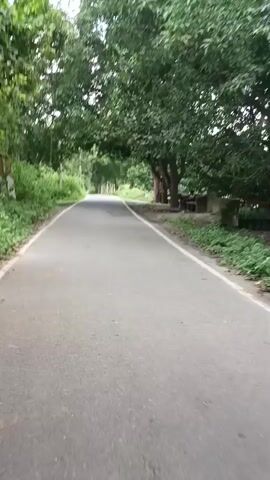 This video shows a first-person view from a vehicle traveling on a paved road. The road is lined with lush green trees and vegetation on both sides. The trees create a canopy over the road in some sections. The sky is overcast, and the lighting suggests it is daytime, possibly in the late afternoon or early morning. There are no other vehicles or people visible in the immediate vicinity. The road surface appears to be in good condition with a white line marking the edge on the left side. The perspective suggests the vehicle is moving at a moderate speed.