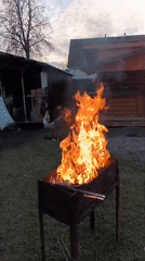 Backyard barbecue preparation with pets in Andreyevo, Russia