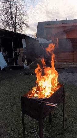 Backyard barbecue preparation with pets in Andreyevo, Russia