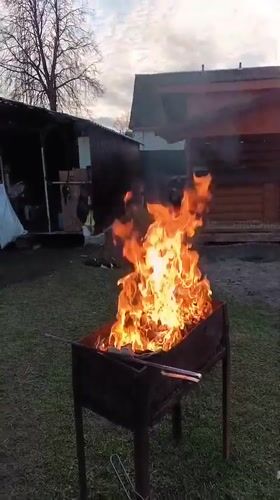Backyard barbecue preparation with pets in Andreyevo, Russia