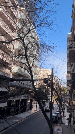 Buenos Aires celebrates as crowds pour into the streets for Argentina