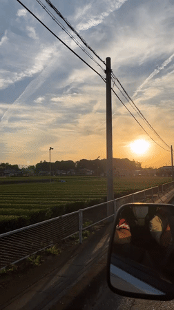 Driver captures sunset journey past urban farmland and infrastructure