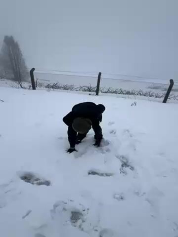 The video shows a person in a dark coat and hat bending over and picking up snow, forming a snowball. They throw the snowball in the direction of two other people who are further away in the snowy landscape. The background includes a wire fence and some sparse trees, all under a gray, foggy sky, indicating a snowy, overcast weather condition. The ground is entirely covered in fresh snow, with visible footprints.