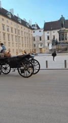 Vienna's imperial core: Hofburg, Ringstrasse, and Michaelerplatz