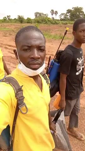 The video shows a group of people walking outdoors. The foreground features a man in a yellow shirt and a face mask, taking a selfie. He has a backpack on, with what appears to be a spray tank attached to it. Behind him, a younger man in a black t-shirt walks with a yellow container. Further in the background, a woman in a yellow shirt carries a large black bag on her head.

The setting appears to be a rural or semi-rural area in Nigeria, with reddish-brown soil, sparse vegetation, and some trees visible. The sky suggests it is daytime, possibly late morning or early afternoon, with bright lighting. The overall atmosphere seems practical, possibly related to agricultural work or transportation of goods. The people appear focused on their journey.

The younger man's t-shirt has text that reads "KINGDOM".