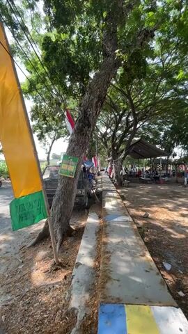 The video displays a roadside scene with lush trees providing shade. A large tree trunk dominates the left foreground, with its roots exposed. A yellow and green flag is propped up against it. To the right of the tree, a concrete walkway runs parallel to the road. Further down the road, several stalls or makeshift structures are visible under tents, with people gathered around them, suggesting a marketplace or gathering. Indonesian flags are also displayed on poles. A few vehicles are parked along the roadside. The ground is covered with dirt, leaves, and debris. The overall atmosphere appears to be a warm, possibly tropical environment.