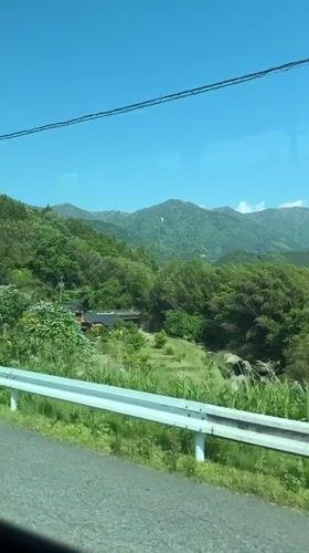 Morning drive captures scenic green landscape in Nakatsugawa, Japan