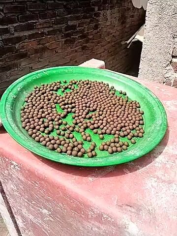 A close-up shot focuses on a green plastic platter overflowing with small, round, brown objects. The platter rests on a reddish-pink surface. In the foreground, a hand enters the frame and gently spreads across the brown objects, its fingers splayed. The background reveals a brick wall and hints of a building under a bright, outdoor light.