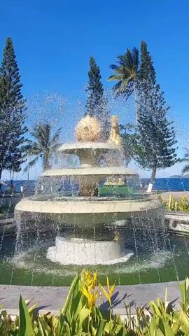 A tiered fountain sprays water on a sunny day, surrounded by palm trees and evergreen trees. In the foreground, lush green plants with yellow flowers are visible. In the background, the ocean meets the sky under a clear blue sky. There are no people visible in the video.