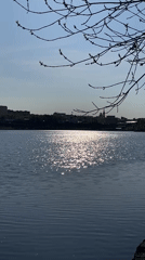 Early morning waterfront moments captured in Izhevsk, Russia