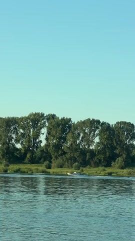 A small white boat is moving across a wide body of calm water. The boat is traveling from left to right in the frame. The water is a blue-green color and appears to be a river or lake. On the far bank of the water, there is a line of lush green trees and vegetation. The trees are tall and dense, with a dark green color. The sky above is a clear, light blue. The overall impression is a peaceful, natural scene on a sunny day.