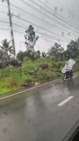 The video captures a view from a vehicle's window during rainfall, showing a wet road and vegetation. A person on a motorcycle, wearing a hooded raincoat, travels along the road. Utility poles and power lines are visible against a cloudy sky. The overall atmosphere is overcast and damp due to the rain.