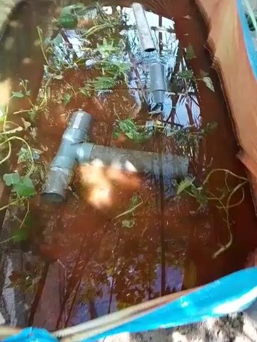 The video shows a close-up, overhead view of a murky, shallow pool of water contained within a flexible, tent-like structure, possibly an above-ground pool. Green vines with leaves are submerged and floating in the water, along with several pieces of grey PVC pipe. One prominent pipe forms a T-junction with another pipe. In the background, reflections of palm fronds and sky are visible on the water's surface. The water appears dirty and possibly stagnant. There are no people visible in the frame. The camera pans slightly and zooms in and out, offering different perspectives of the pipes and vegetation in the water.