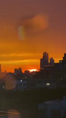 This media file captures a sunset over a city skyline, likely New York City based on the presence of recognizable skyscrapers such as the Empire State Building. The sun is setting, casting a vibrant orange and yellow glow across the sky, creating a dramatic and warm atmosphere. Clouds are present, illuminated by the setting sun, and add depth to the sky.

The foreground features the rooftops of buildings, with some greenery visible, suggesting an urban environment with some interspersed nature. Silhouettes of buildings, ranging from shorter residential blocks to taller office towers, dominate the mid-ground and background. Lights are beginning to appear in some of the buildings, indicating the transition from day to evening.

There are no people or distinct objects, other than the buildings themselves, visible in the frame. The activity is passive, focusing on the natural phenomenon of a sunset and the urban landscape. The overall mood is one of beauty and tranquility, evoked by the stunning colors of the sky. There is no visible text in the media file.