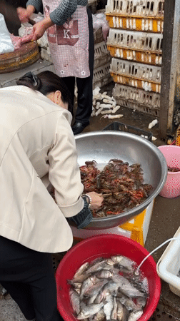 Routine market day activity documented in Jiangjin, China