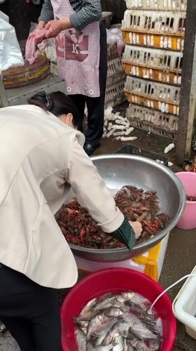 Routine market day activity documented in Jiangjin, China