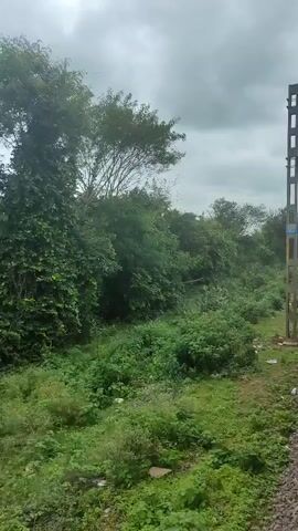 A video captured from a moving train shows a rural landscape with lush green trees and vegetation on the left side of the tracks. A utility pole with signage is visible on the right side of the frame. The sky is overcast with clouds. The train appears to be traveling along a railway line in a natural, undeveloped area.