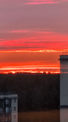 Saint Petersburg summer evening: vivid sunsets, aquariums, and everyday life