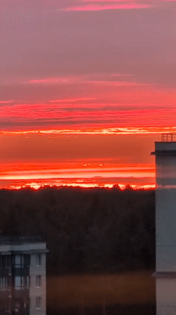 Saint Petersburg summer evening: vivid sunsets, aquariums, and everyday life
