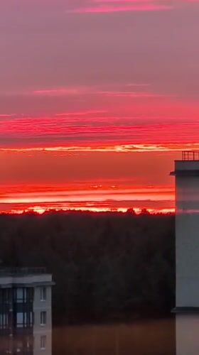 Saint Petersburg summer evening: vivid sunsets, aquariums, and everyday life