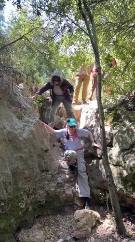Hikers with dog traverse forest trails in Israeli countryside