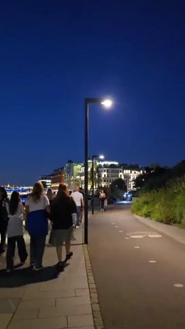 This is a vertical, nighttime video of a waterfront promenade. The sky is a deep blue. Several people are walking on a paved walkway. To the left of the walkway is a body of water with lights reflecting on it, and a row of buildings with illuminated windows in the distance. To the right of the walkway is a grassy slope, a paved bike path, and a lamppost that illuminates the path. In the distance, a large monument, a statue of a man on a ship, is visible. The camera pans slowly to the right.