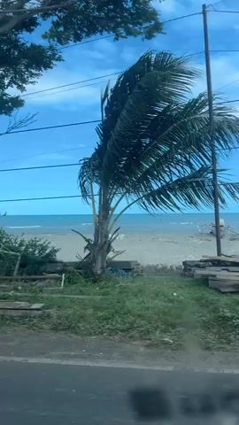 This is a video taken from a moving vehicle, likely a car or van, looking out a window. The view is of a coastline with the ocean and sky. The foreground shows the side of the road and some vegetation. In the middle ground, there is a beach with what appears to be some debris or harvested materials laid out on green tarps. There are also some bamboo poles stacked on the beach. Further back, the ocean stretches to the horizon, with small waves and a clear blue sky with some clouds. There are power lines visible across the top of the frame. In one brief shot, the side of a red and white vehicle, possibly a van or minivan, is visible in the foreground, suggesting it is the vehicle the camera is in, or one traveling alongside. There are no people clearly visible in the frames. The overall impression is a coastal landscape viewed during travel.