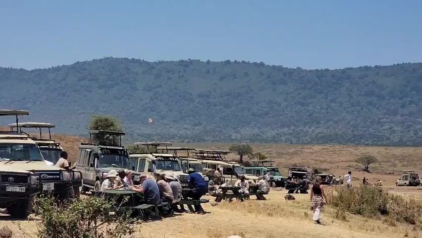 A long row of safari trucks are parked on dry, short grass in an arid area, with people sitting at picnic tables among the trucks, and others standing and walking around. In the background is a large, tree-covered hill. The camera pans right to show more of the trucks and people, then pans further to reveal a body of water with reeds and a dark shoreline. The camera zooms in closer to the water, and then pans to show more of the shoreline, which is rocky and covered with dry grass. A lone rock sits on the ground in the foreground.