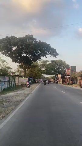 The video shows a street scene, possibly in a developing country, with a two-lane road. The road is paved and has white lane markings. On the left side of the road, there are several small stalls or shops with makeshift roofs, some displaying goods. A large tree with dense foliage is prominent on the left, its branches extending over the road. Several motorcycles and scooters are present, with some individuals riding them. A pink scooter with a rider is parked on the left. On the right side of the road, there are more buildings and stalls. The sky is visible with some clouds. The lighting suggests it is either early morning or late afternoon. The overall impression is a busy, everyday street scene with local commerce and transportation.