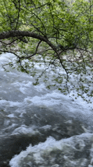 Couple photographs rushing river during spring afternoon in Bulgaria