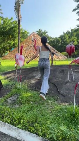 A young woman wearing a white crop top and light-wash flared jeans walks towards a group of large, pink flamingo lawn ornaments in a park. She stops and strikes several poses, including raising her arms in the air and kicking one leg out towards a flamingo. The background features lush green trees and a clear blue sky.