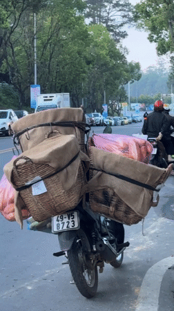 Evening street life documented in Da Lat, Vietnam