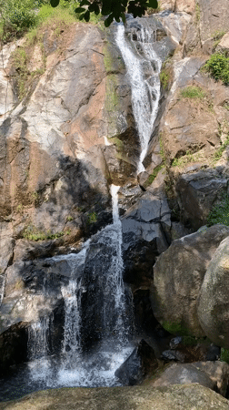 Tourist group camps at Ko Samui waterfall, encounters snake