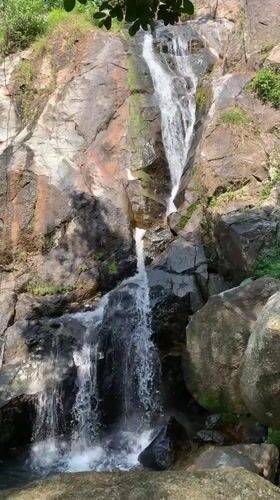 Tourist group camps at Ko Samui waterfall, encounters snake