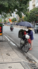Fruit vendor sells produce on Ho Chi Minh City street