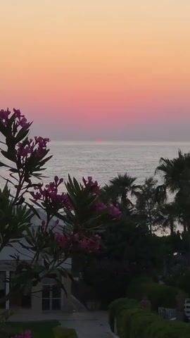 The video captures a serene sunset over the ocean, viewed from a garden area. In the foreground, a flowering plant with vibrant pink blossoms is in sharp focus, its leaves a deep green. Behind it, lush trees and palm trees form a dense foliage. A portion of a building with windows is visible in the lower left. The middle ground is dominated by the calm sea, reflecting the warm hues of the sky. The horizon is marked by the setting sun, a tiny, glowing red orb just above the water. The sky transitions from a soft orange at the top to a gradient of pink and then to a lighter hue closer to the horizon, creating a picturesque twilight scene. The overall atmosphere is tranquil and peaceful.