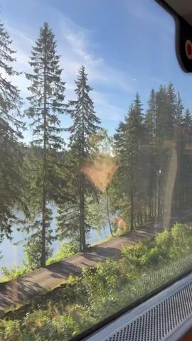 The video shows a view from inside a vehicle looking out a window at a sun-drenched forest with tall pine trees. The sun casts rays of light through the trees, creating a dappled effect on the ground. To the left, a body of water, likely a lake, is visible, bordered by a dirt path and lush green foliage. The sky is a clear blue with some wispy clouds. The camera appears to be moving, as the scenery is in motion. There are no people visible in the video.