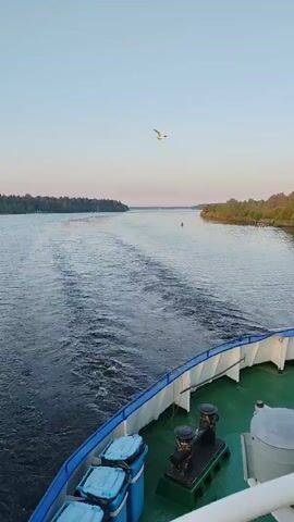 The view from the back deck of a ship shows a wide body of water stretching into the distance. The water is dark and choppy, with the ship leaving a clear wake. On either side of the water are stretches of land covered in trees and vegetation. The sky above is clear and light blue, suggesting it's either early morning or late afternoon. There is a bird flying across the scene and some kind of a buoy in the distance. The deck of the ship, visible in the foreground, is green and has blue metal containers.
