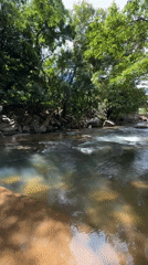 Clear river flows through dense forest canopy in Illukkumbura