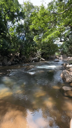 Clear river flows through dense forest canopy in Illukkumbura