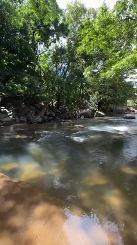 Clear river flows through dense forest canopy in Illukkumbura