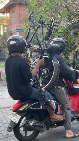 Daily life scenes captured across Ubud District, Indonesia