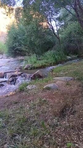 A video shows a river flowing through a rocky area with trees and cliffs. The water is clear and the sunlight is filtering through the trees. The scene is peaceful and natural.