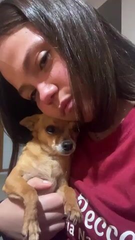 A woman with long, dark brown hair is holding a small, tan Chihuahua and kissing the dog on its head. The woman is wearing a red t-shirt with white writing on it. The background is blurred, but appears to be indoors, perhaps near a doorway. The Chihuahua is looking directly at the camera. The woman is looking down at the dog.