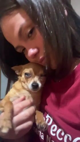 Woman shares intimate moment with pet Chihuahua in Ceraso
